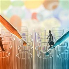 人血管生成素2试剂盒